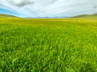 Isle of Lewis and Harris
